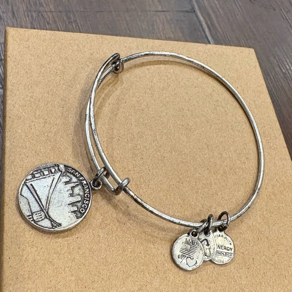 Alex and Ani San Francisco Charm Bracelet